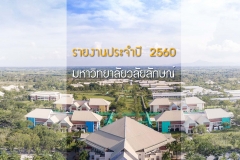 annual-wu2017-28-02-61_Page_01