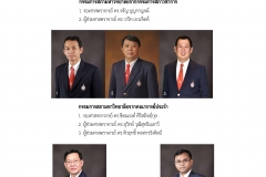 annual-wu2017-28-02-61_Page_12