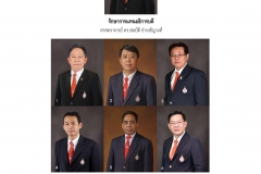 annual-wu2017-28-02-61_Page_13