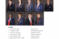 annual-wu2017-28-02-61_Page_16