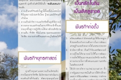 annual-wu2017-28-02-61_Page_25