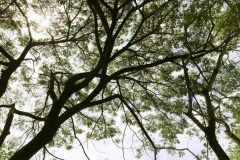 annual-wu2017-28-02-61_Page_35