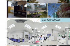 annual-wu2017-28-02-61_Page_38