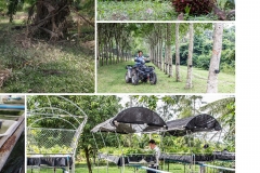 annual-wu2017-28-02-61_Page_45