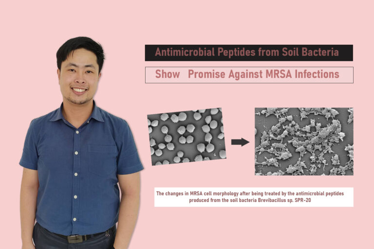 Discovery of Antimicrobial Peptides from Soil Bacteria Shows Promise Against Methicillin-resistant Staphylococcus aureus Infections